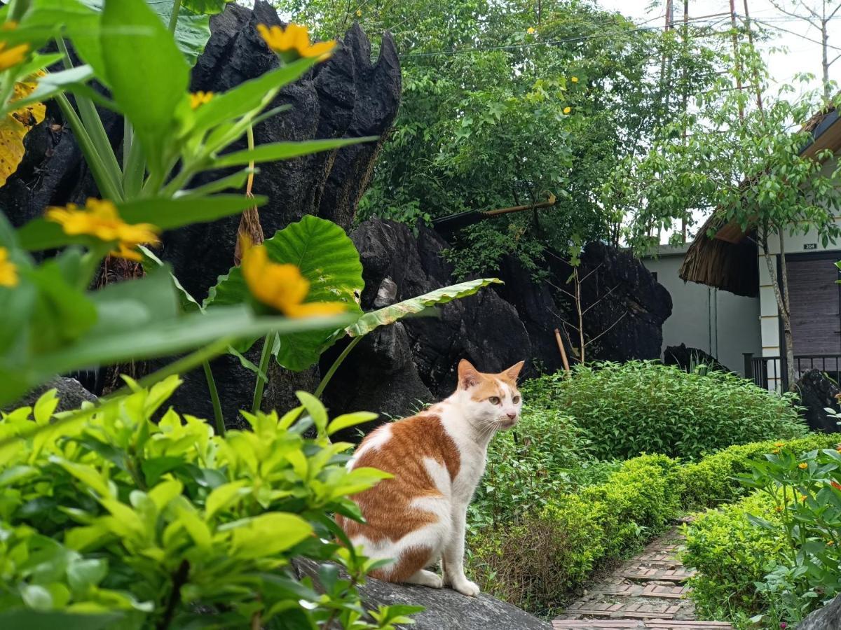 Wings Ha Giang Loop Bungalow Hotel Buitenkant foto